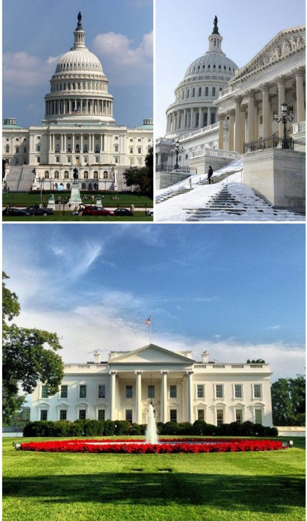 کاخ سفید واشنگتن دی سی